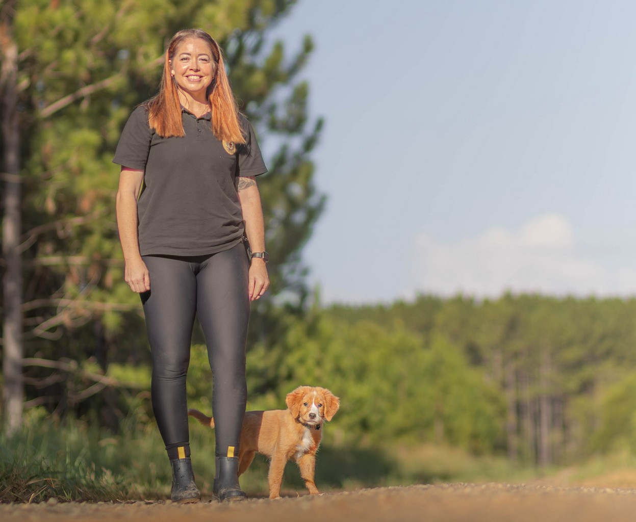 Real-life dog training session in a North Brisbane park